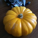 ハロウィンかぼちゃにミニ四駆。子どもが「買って」と言ったら？